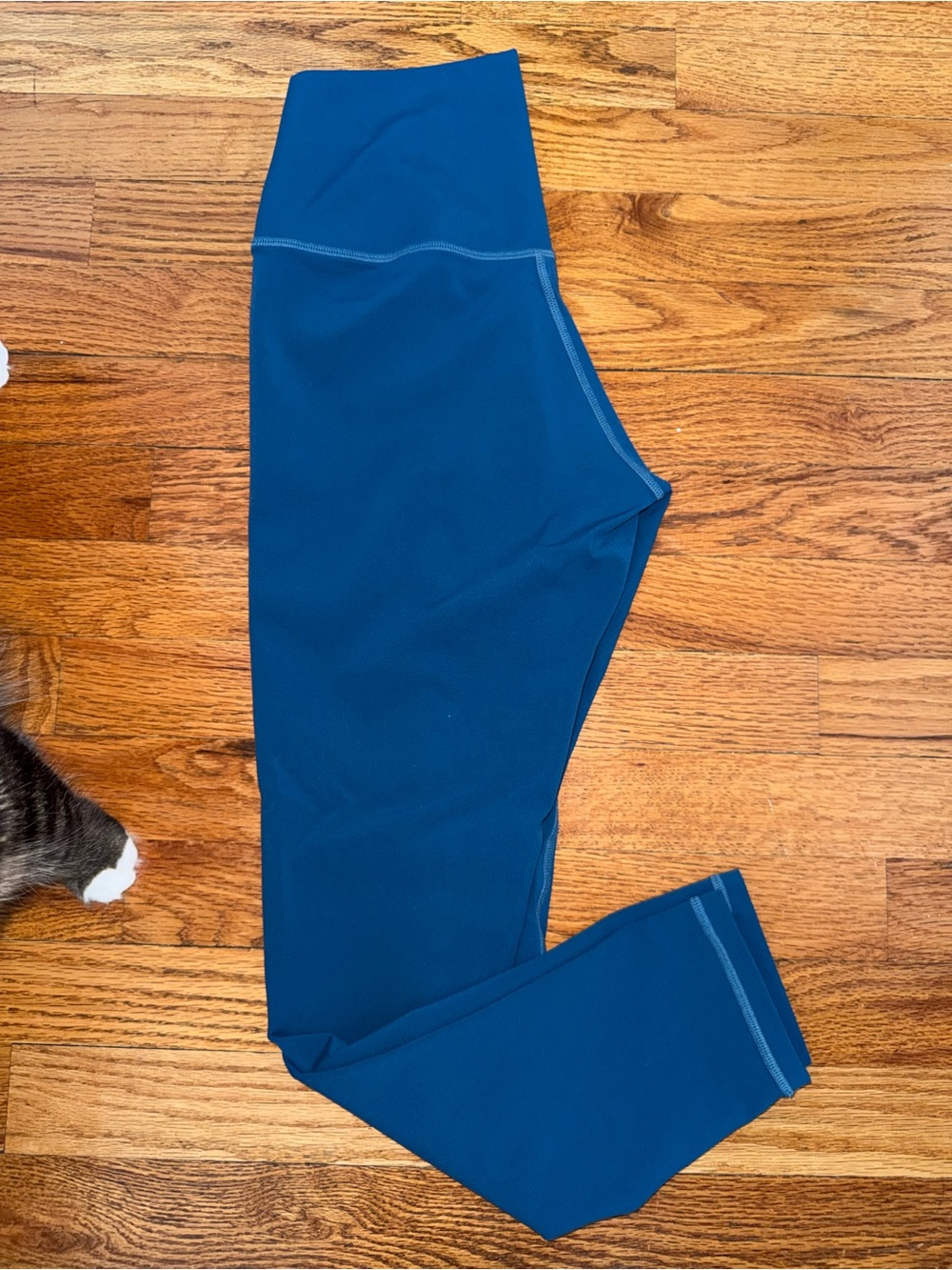 High-Rise Blue Performance Leggings for Women